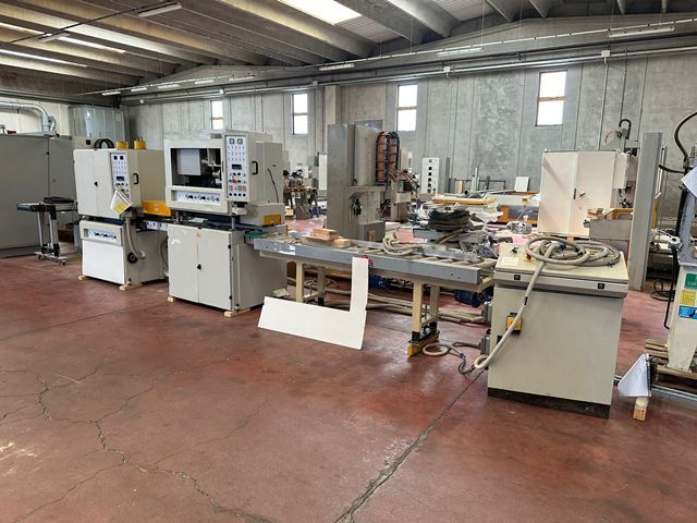 4LC052402-Caselli-Group-TOP-AND-BOTTOM-SANDING-LINE-OMA-STADYO (1).jpeg